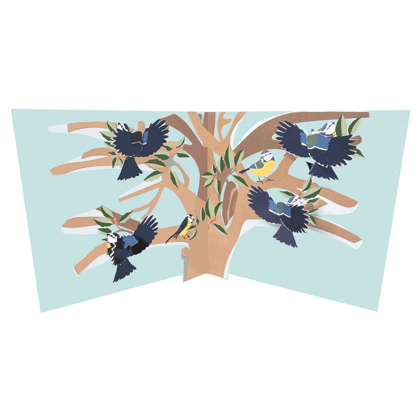 2toTango 3D Pop Up Card Blue Tits Greeting Card Any Occasion