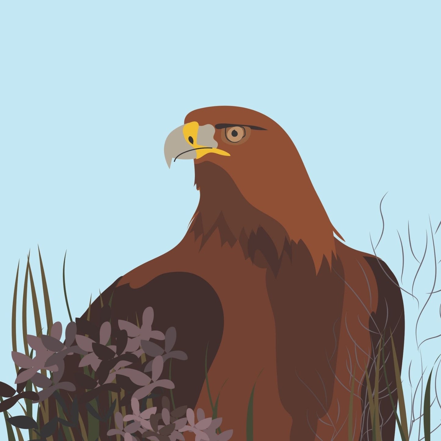 2toTango 3D Pop Up Card Majestic Eagle Greeting Card Any Occasion