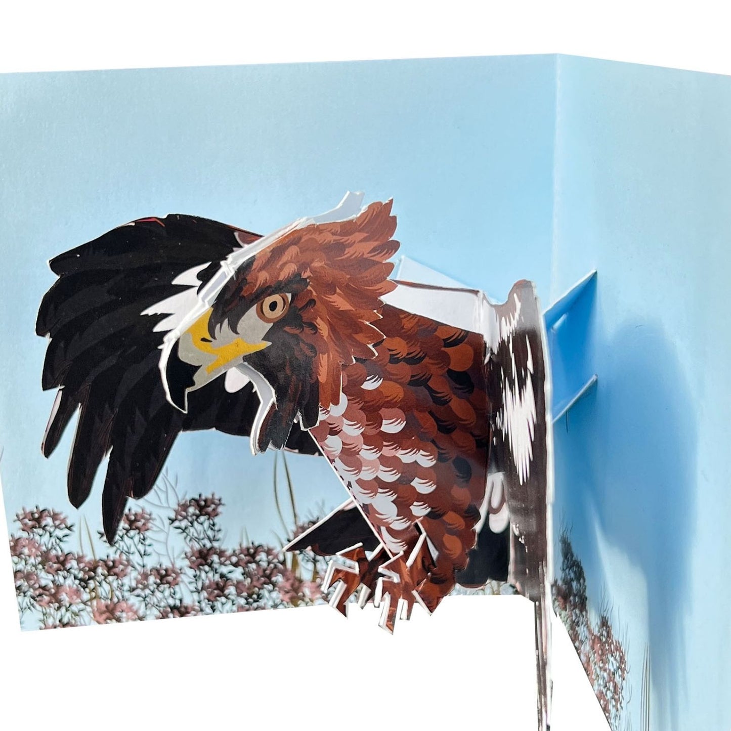 2toTango 3D Pop Up Card Majestic Eagle Greeting Card Any Occasion