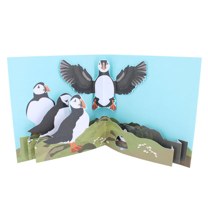 2toTango 3D Pop Up Card Puffins Greeting Card Any Occasion