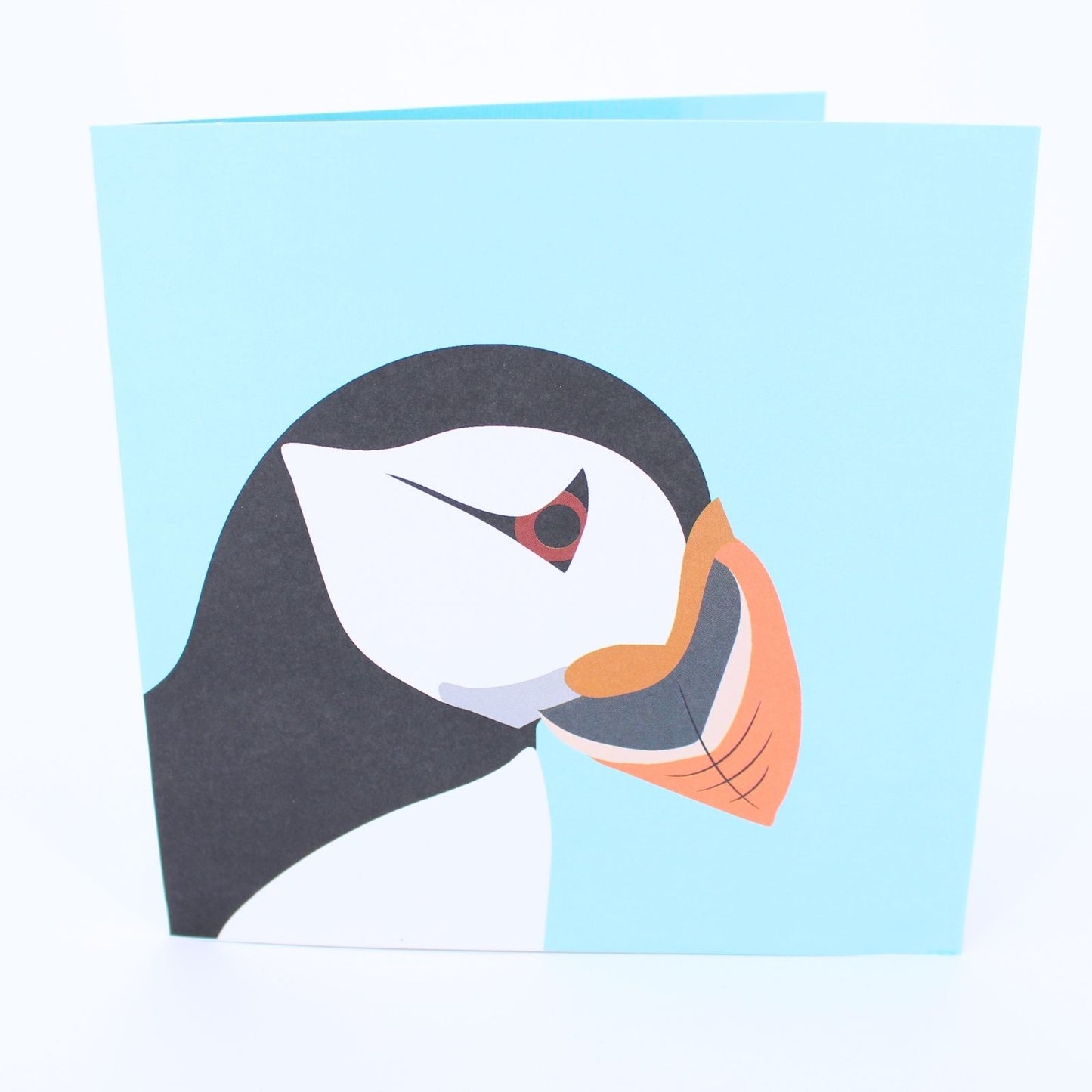 2toTango 3D Pop Up Card Puffins Greeting Card Any Occasion