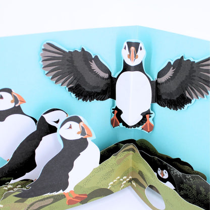 2toTango 3D Pop Up Card Puffins Greeting Card Any Occasion