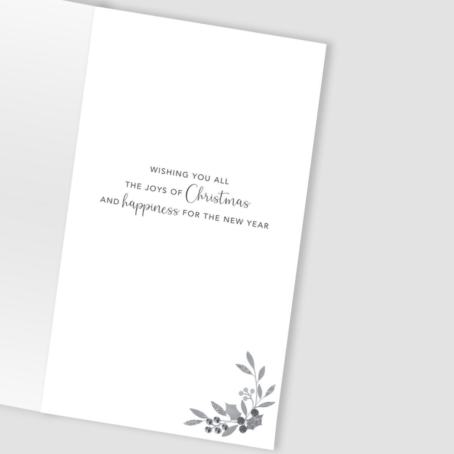 To Both Of You Christmas Card Hand-Finished Embellished Pair Of Robins Design