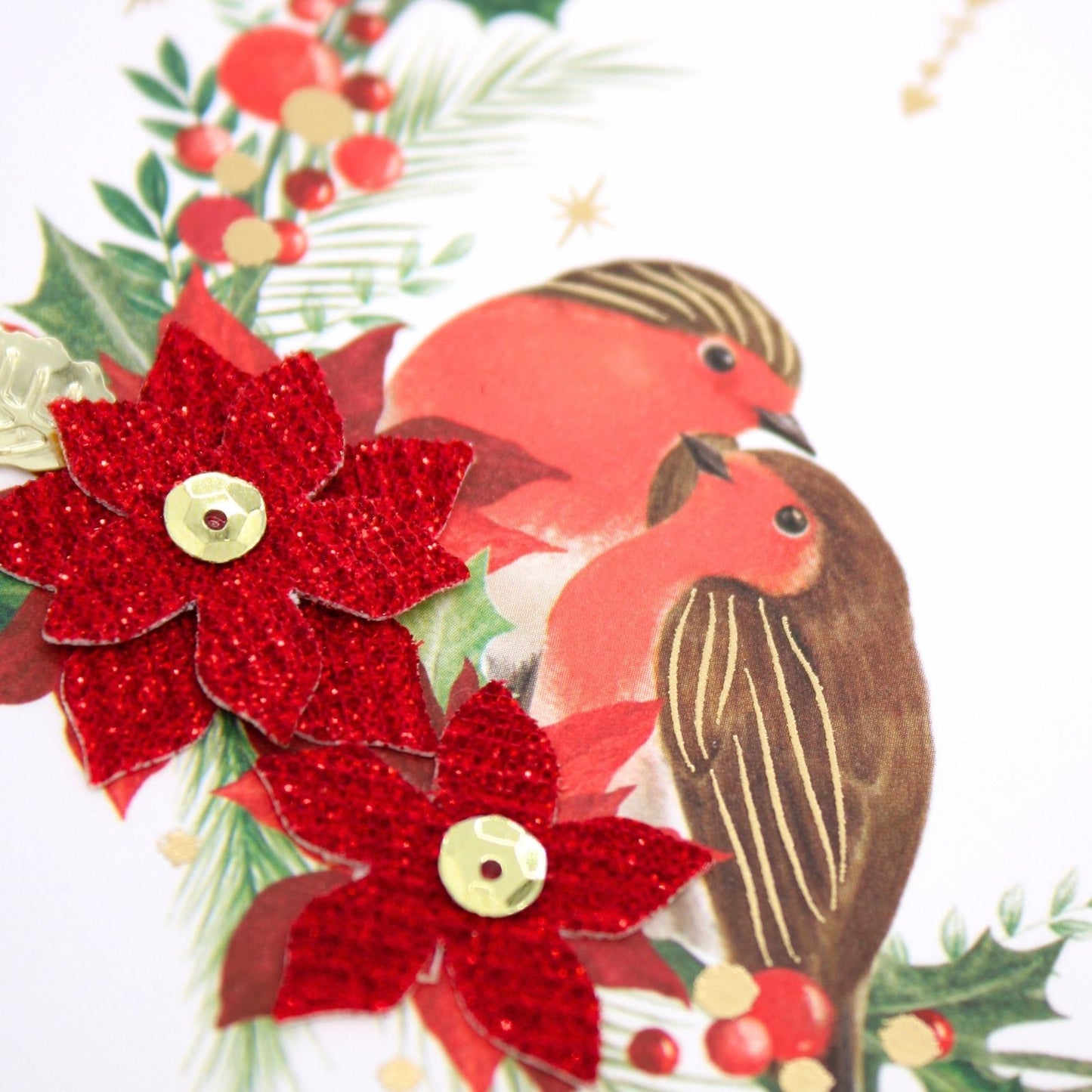 To Both Of You Christmas Card Hand-Finished Embellished Pair Of Robins Design