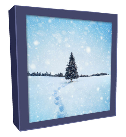 Box of 8 Snowy Festive Tree Scene Christmas Cards