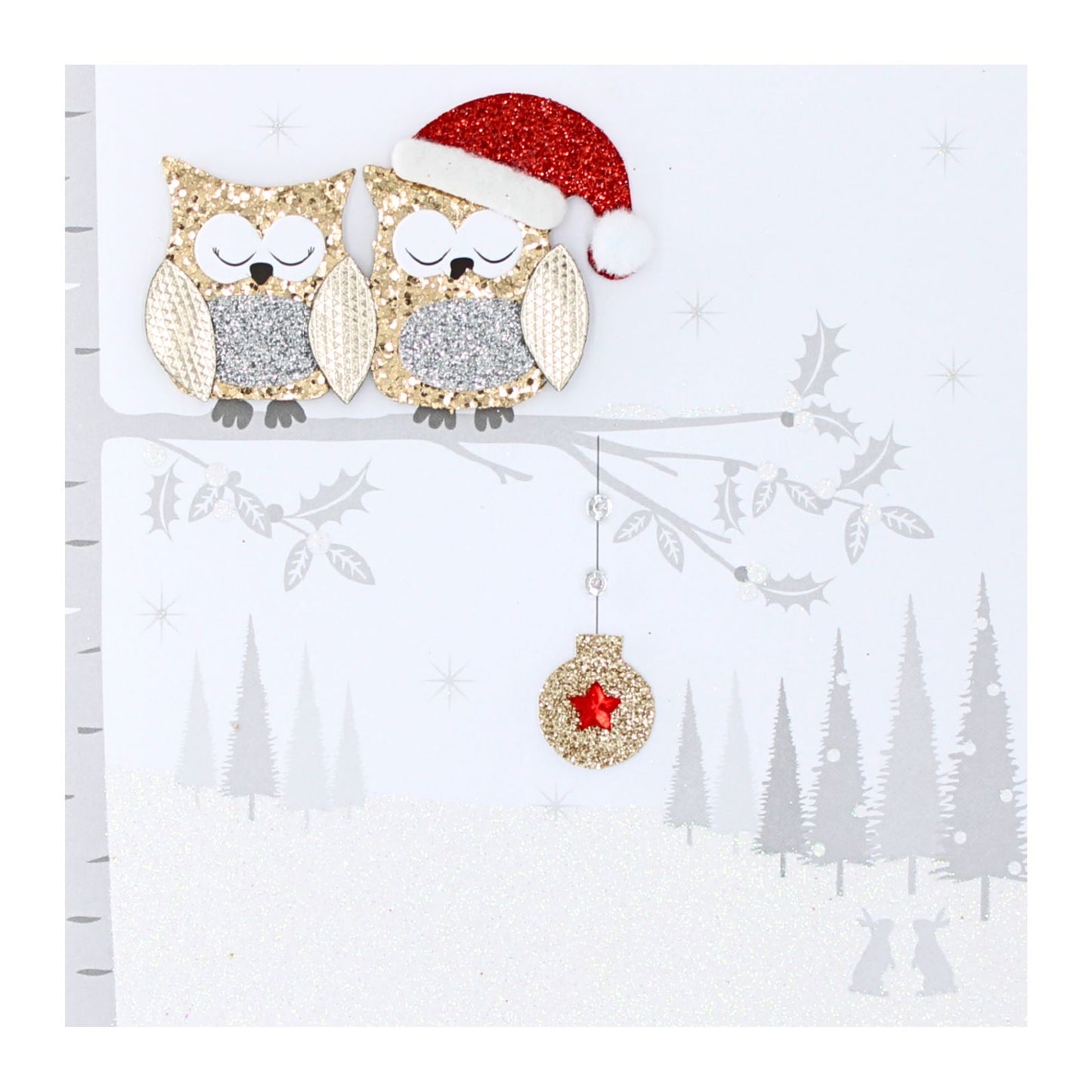 Festive Owls Christmas Card Flittered Hand-Finished Embellished Blank Inside