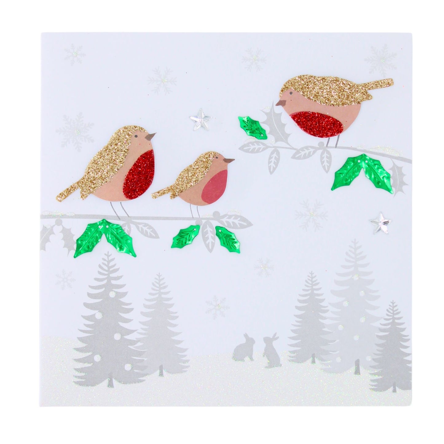 Festive Robins Christmas Card Flittered Hand-Finished Embellished Blank Inside