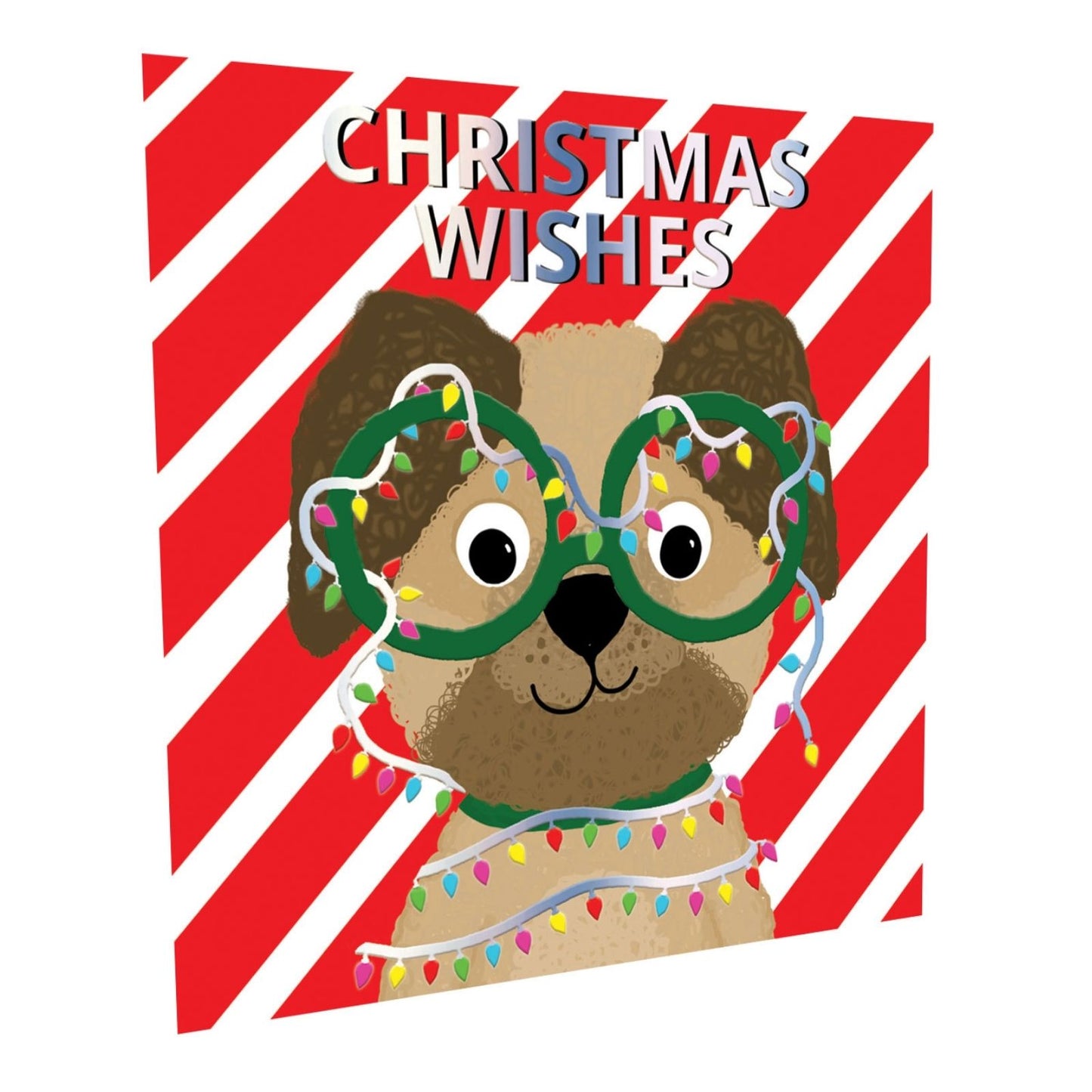 Crisis Charity Christmas Cards Box of 8 Festive Dog Cards Support Homelessness