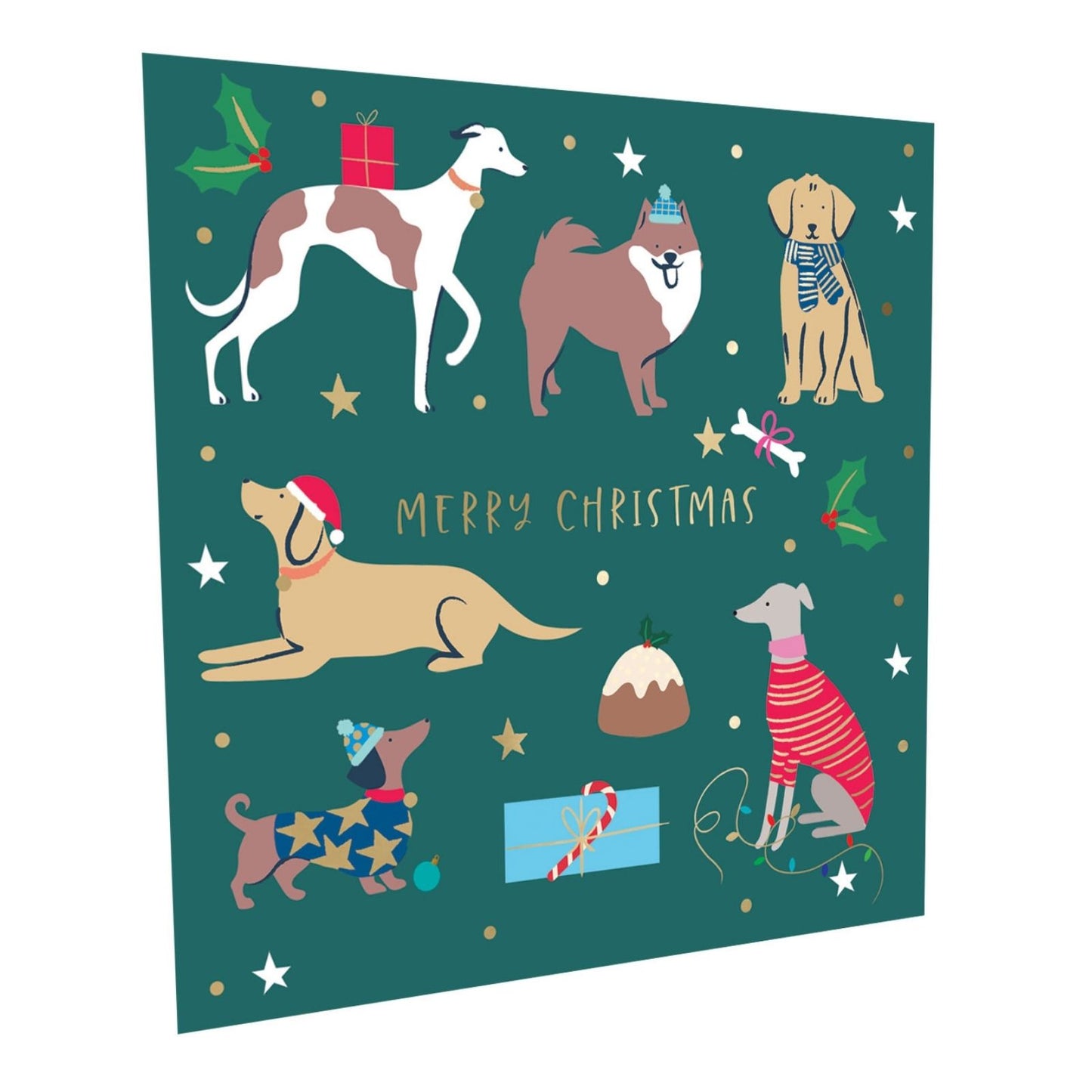 Crisis Charity Christmas Cards Box of 8 Xmas Dogs Cards Support Homelessness