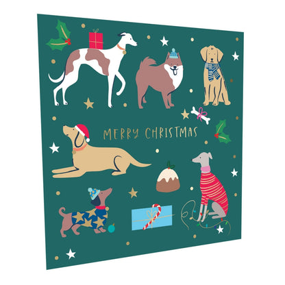 Crisis Charity Christmas Cards Box of 8 Xmas Dogs Cards Support Homelessness