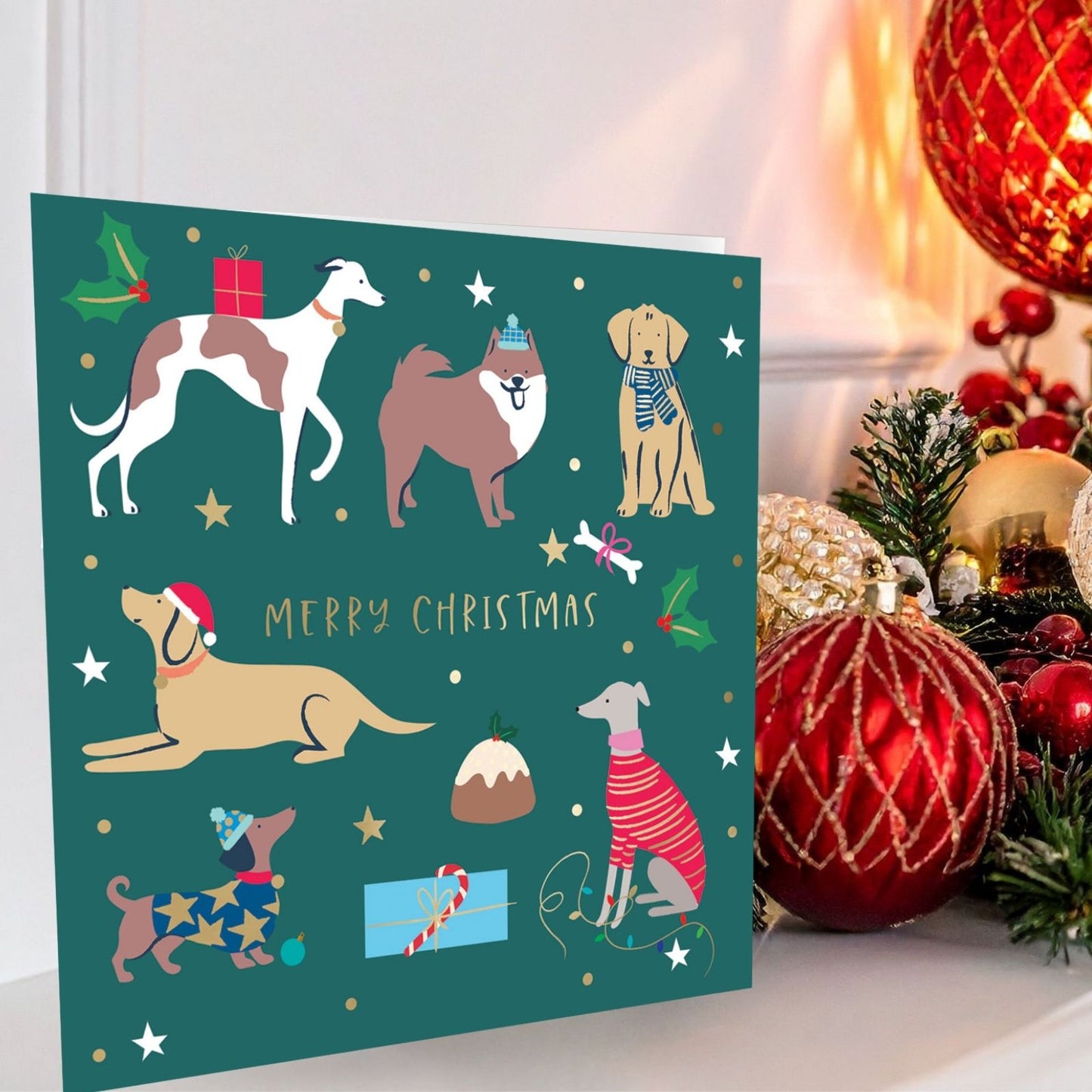 Crisis Charity Christmas Cards Box of 8 Xmas Dogs Cards Support Homelessness