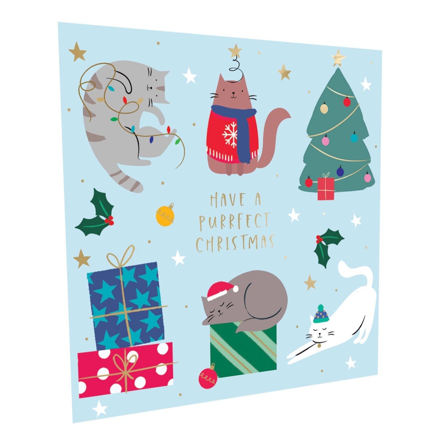 Crisis Charity Christmas Cards Box of 8 Xmas Cats Cards Support Homelessness