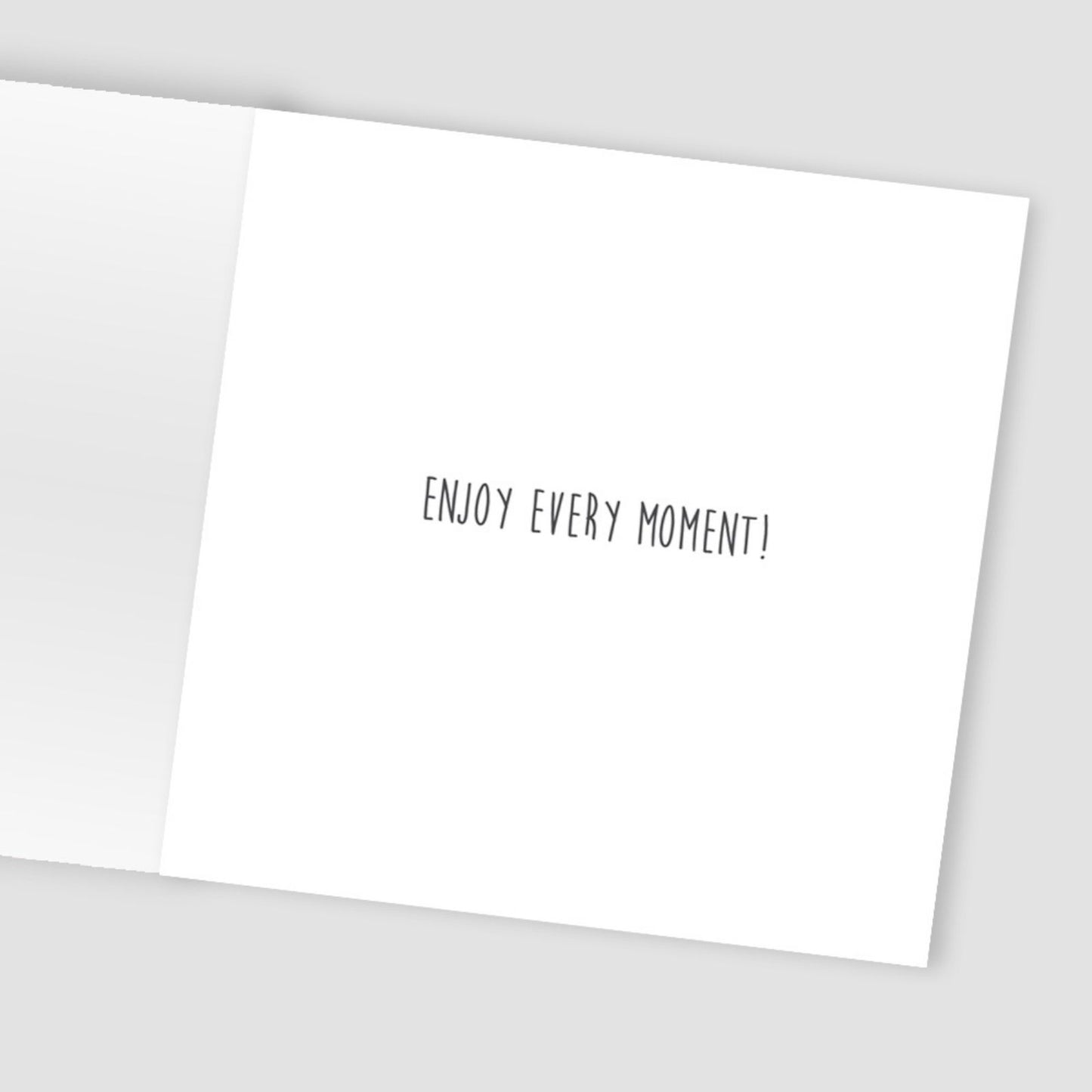 Crisis Charity Christmas Cards Box of 8 Xmas Cats Cards Support Homelessness