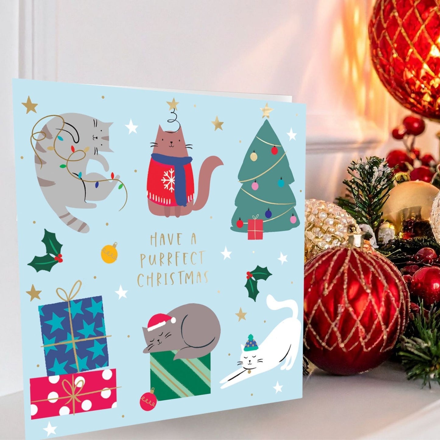 Crisis Charity Christmas Cards Box of 8 Xmas Cats Cards Support Homelessness