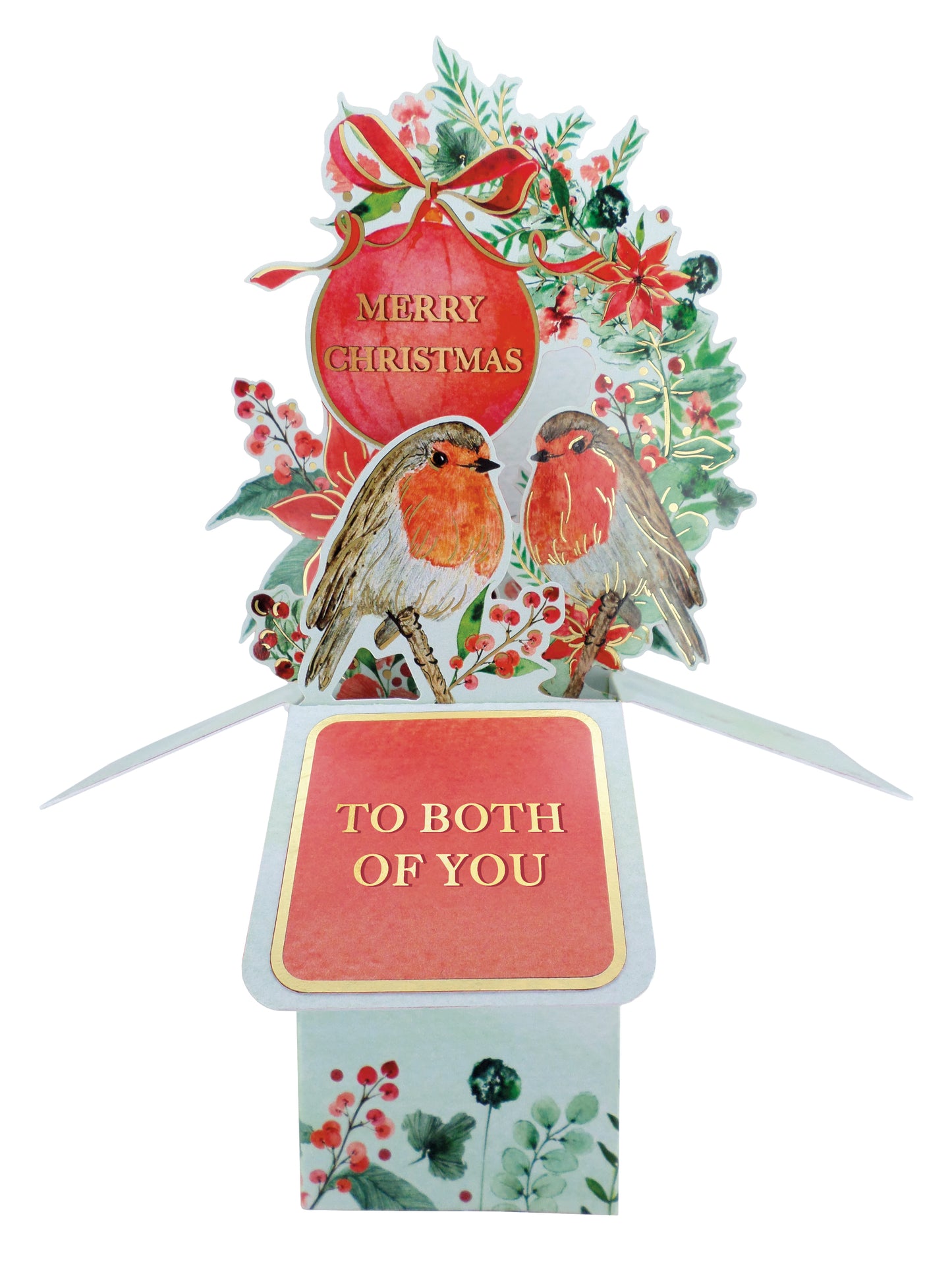 Clever Cubes Pop Up Both Of You Robins Merry Christmas Card 3D Xmas Card