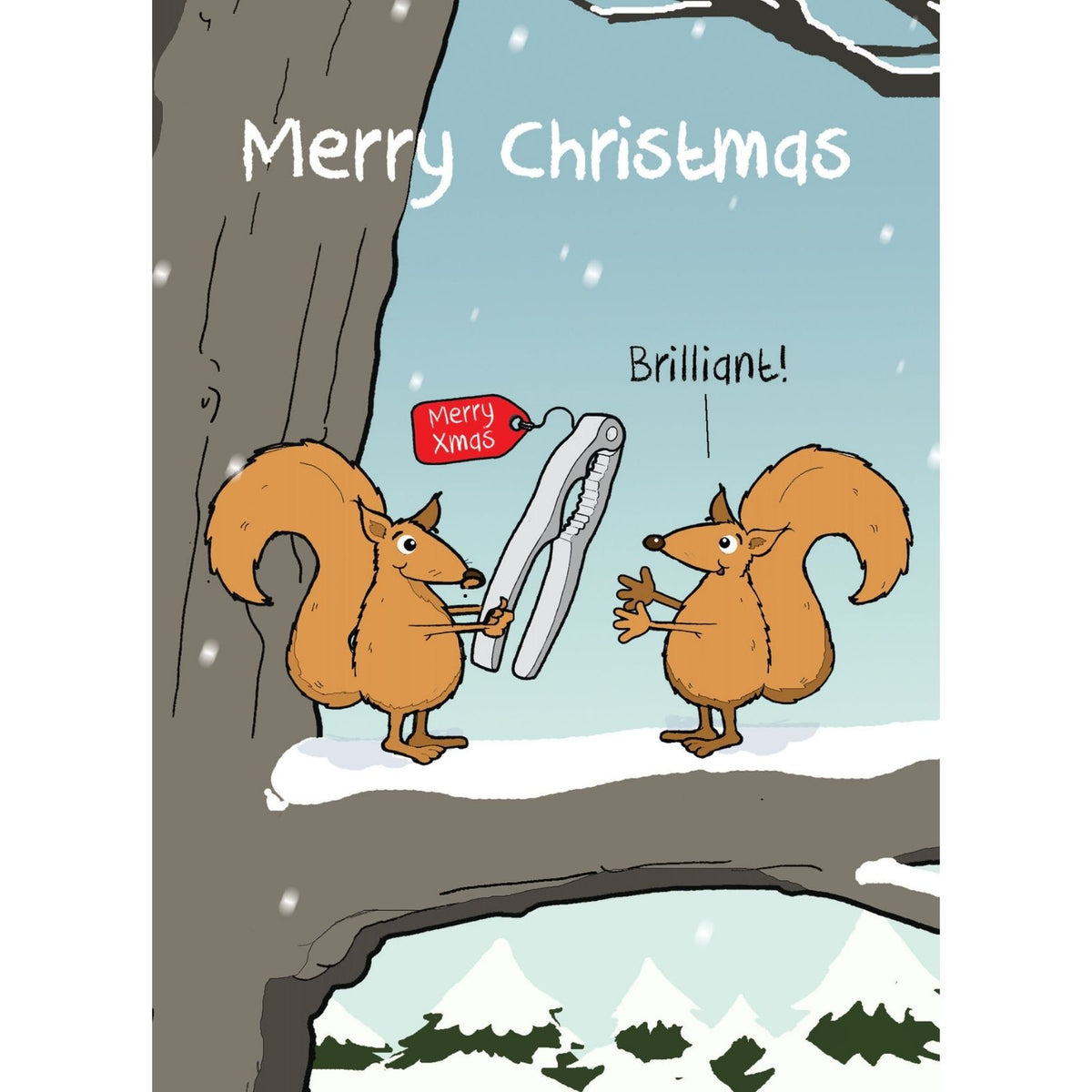 Twizler Humour Christmas Card Squirrel & Nuts  Funny Xmas Greeting Blank Inside