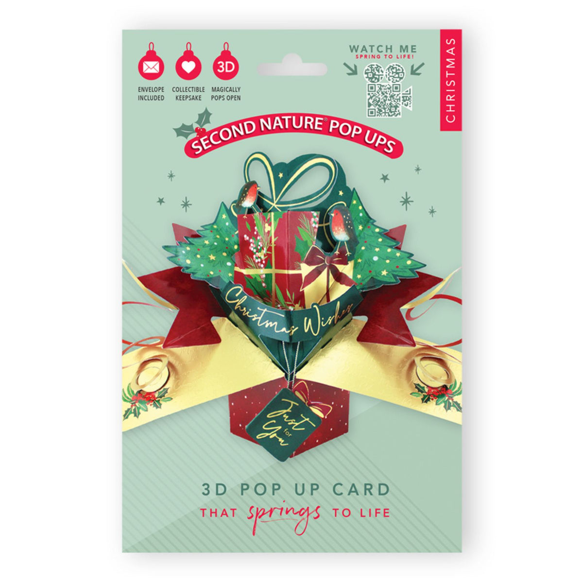 3D Pop Up Christmas Card Gift With Robins DesignGreeting Card Mailable Pop Ups