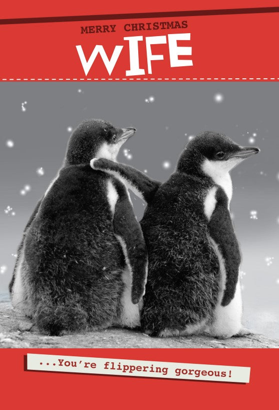 Quitting Hollywood Christmas Card Flippering Gorgeous Wife Funny Card