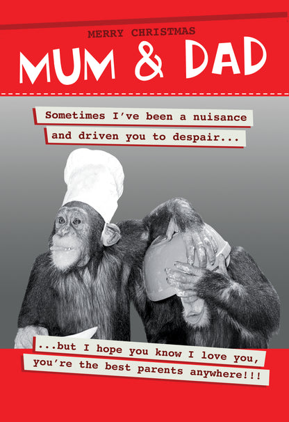 Quitting Hollywood Christmas Card Mum & Dad You’re The Best Funny Card