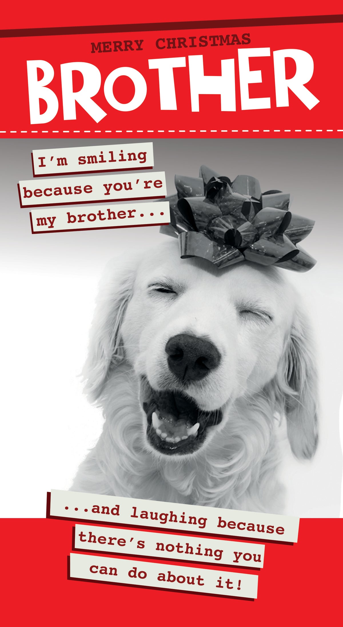 Quitting Hollywood Christmas Card Brother I'm Smiling Funny Card