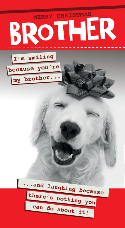 Quitting Hollywood Christmas Card Brother I'm Smiling Funny Card