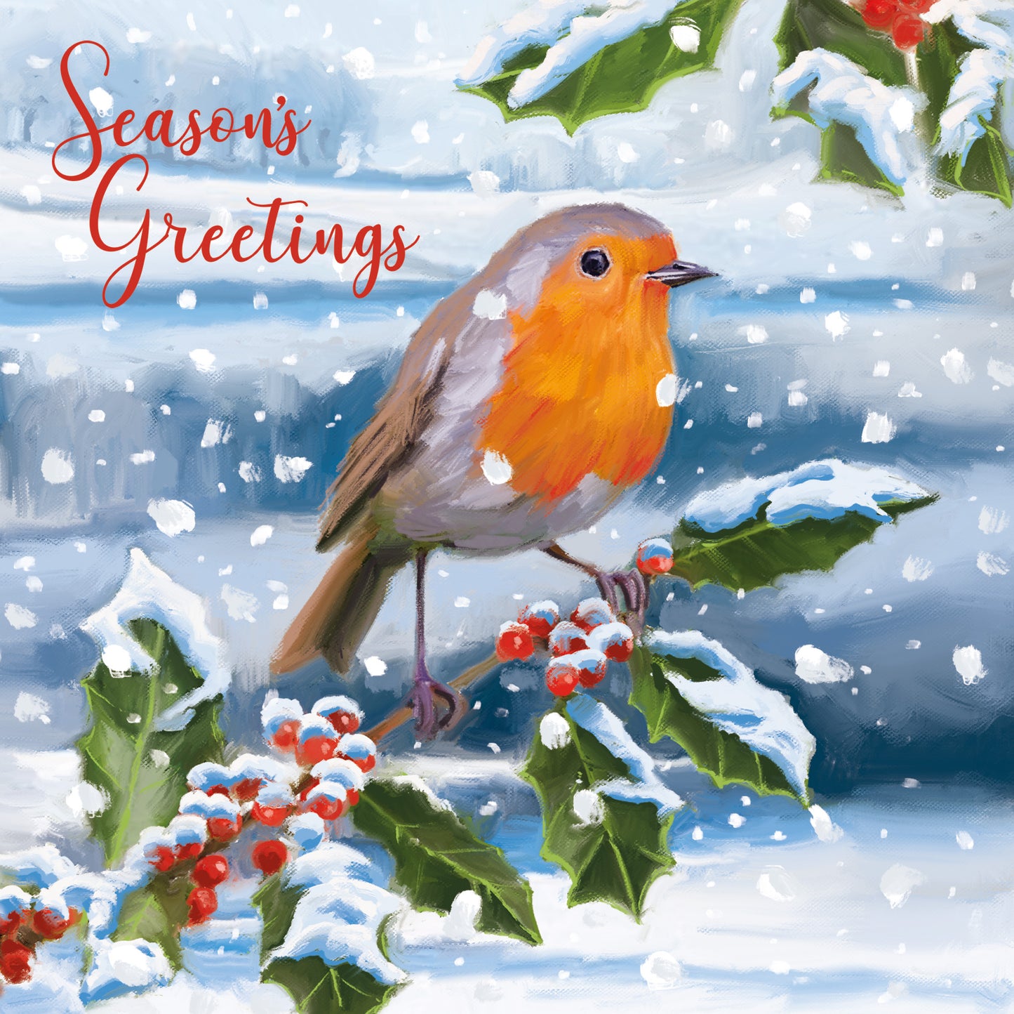 Box Of 8 Robin Hospice UK Charity Season's Greetings Charity Christmas Cards