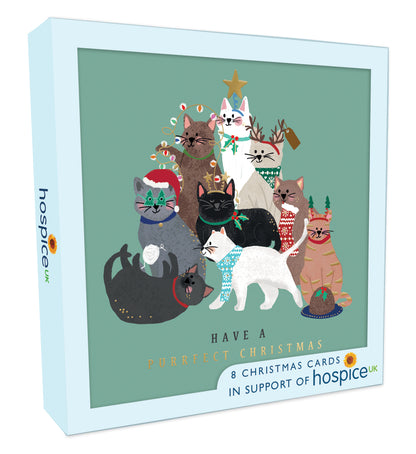 Box Of 8 Purrfect Christmas Cats Hospice UK Charity Christmas Cards
