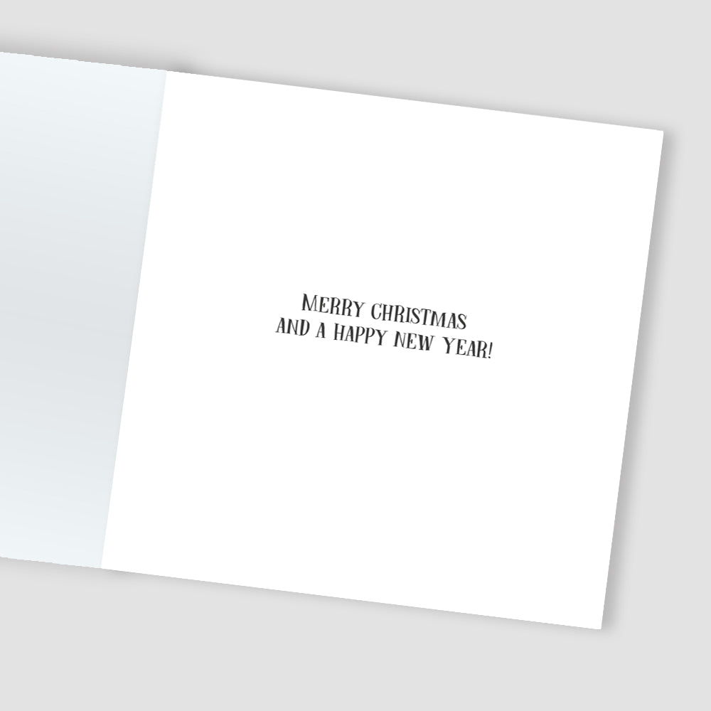 Box Of 8 Festive Penguin Winter Fun Hospice UK Charity Christmas Cards