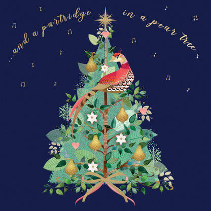 Box Of 8 Charity Christmas Cards Supporting Hospice UK In A Pear Tree Design