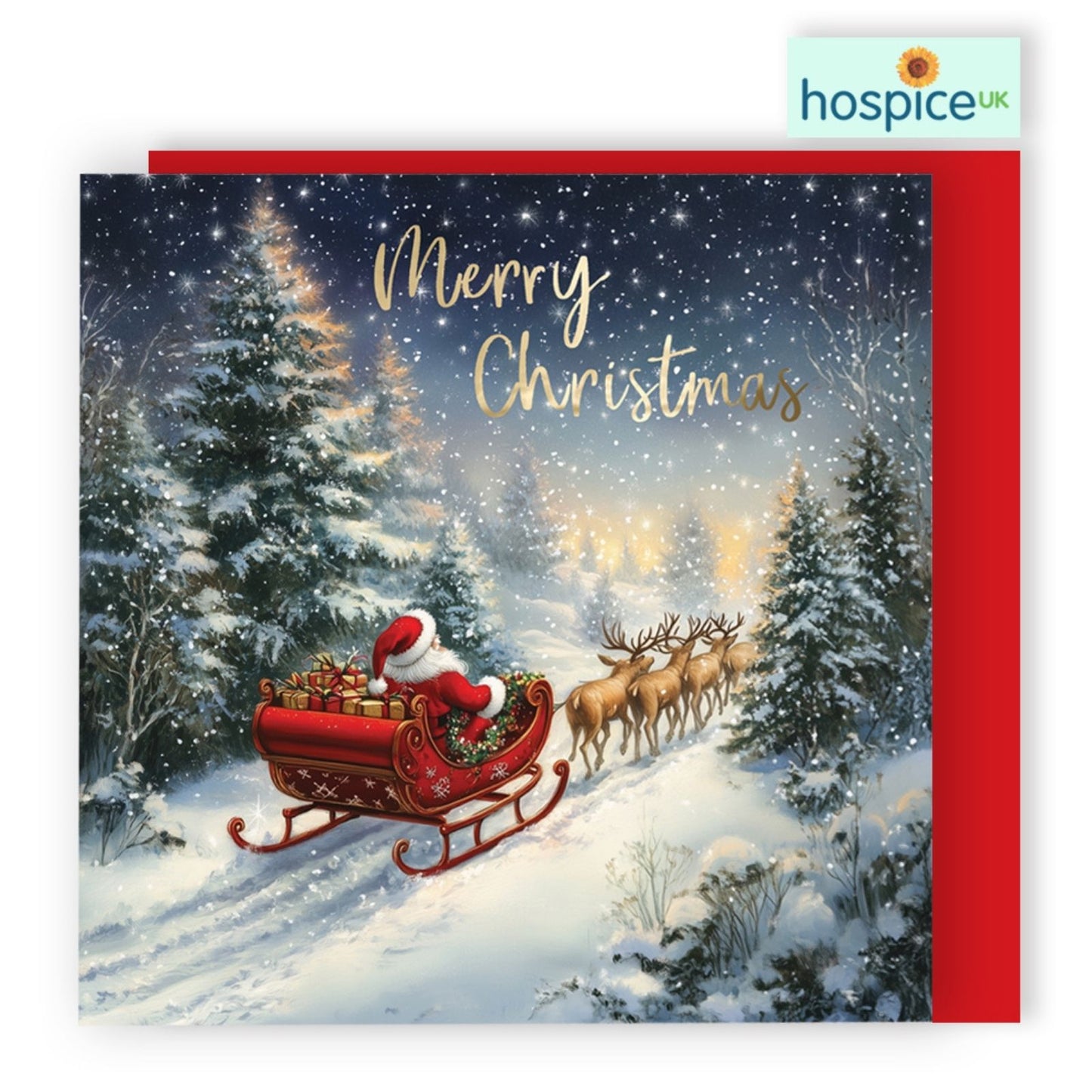 Box Of 8 Charity Christmas Cards Supporting Hospice UK Santa & Sleigh Design