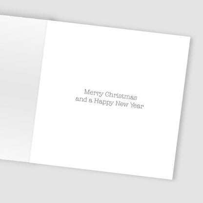 Box Of 8 Charity Christmas Cards Supporting Hospice UK Snowy Front Door Design