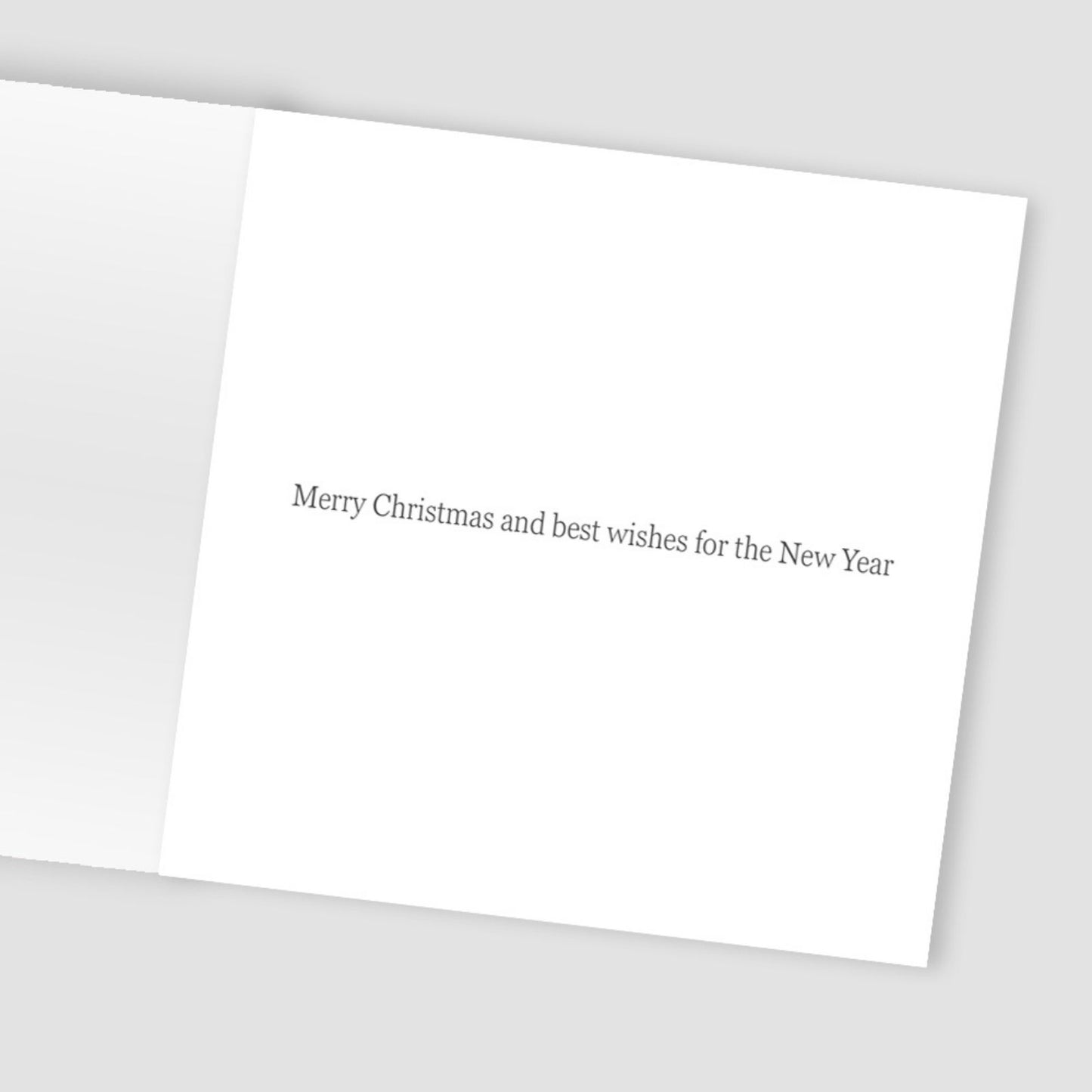 Box Of 8 Charity Christmas Cards Supporting Hospice UK Festive Cat Design