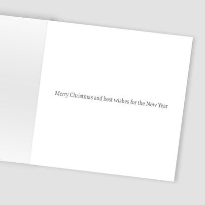 Box Of 8 Charity Christmas Cards Supporting Hospice UK Festive Cat Design