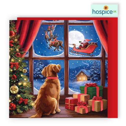 Box Of 8 Charity Christmas Cards Supporting Hospice UK Dog Watching Santa Design