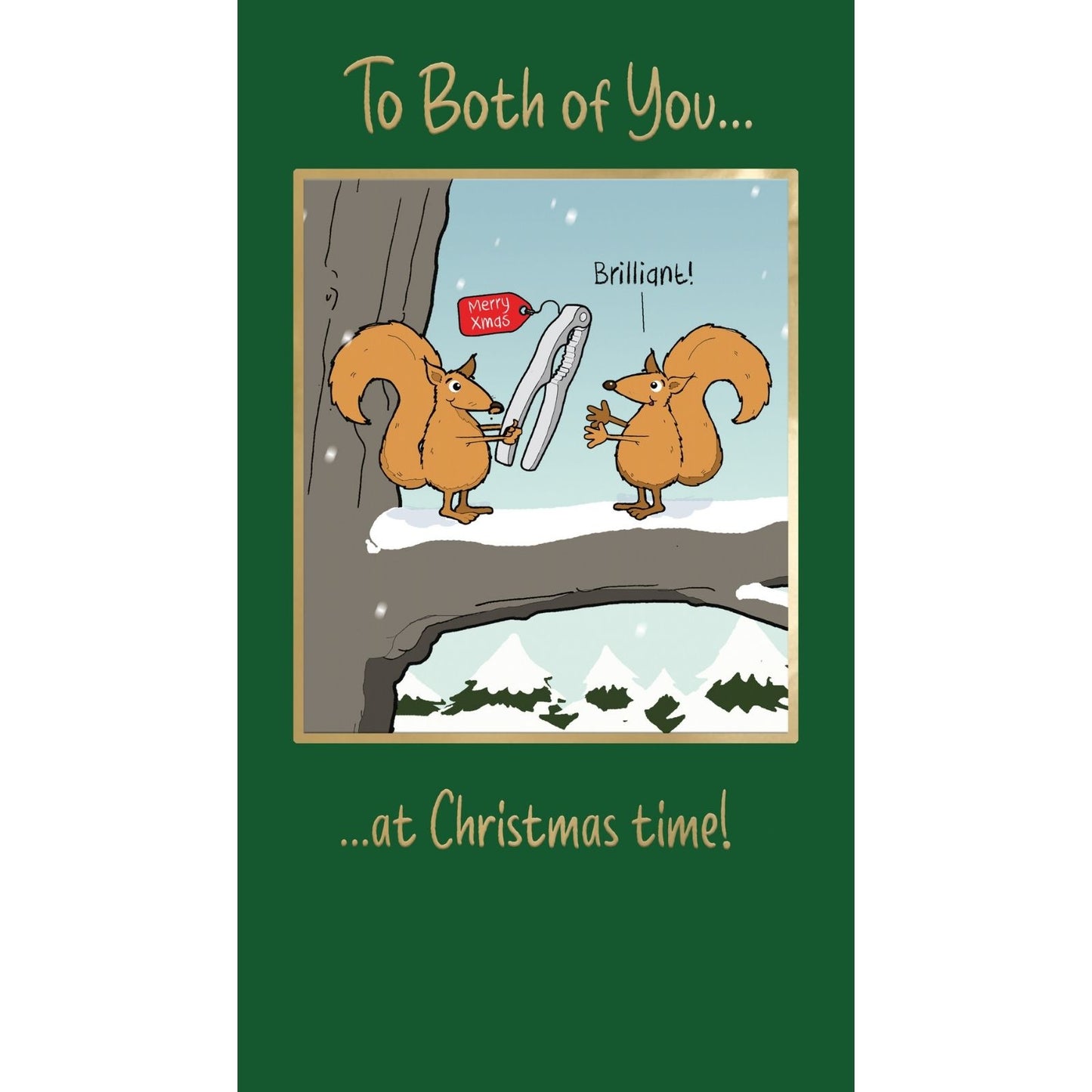 Twizler Humour Christmas Card To Both Of You Couple Funny Squirrels Xmas Card