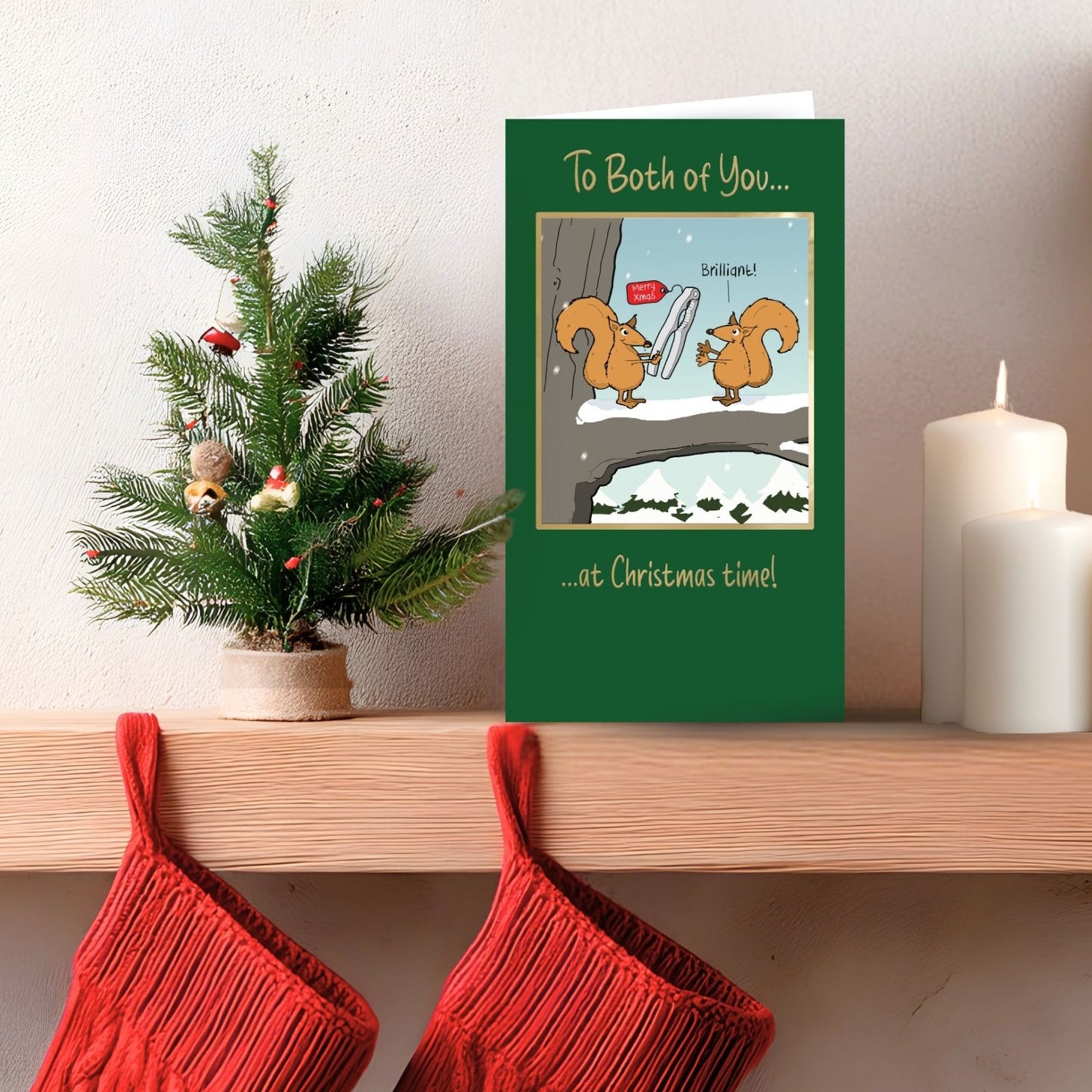 Twizler Humour Christmas Card To Both Of You Couple Funny Squirrels Xmas Card