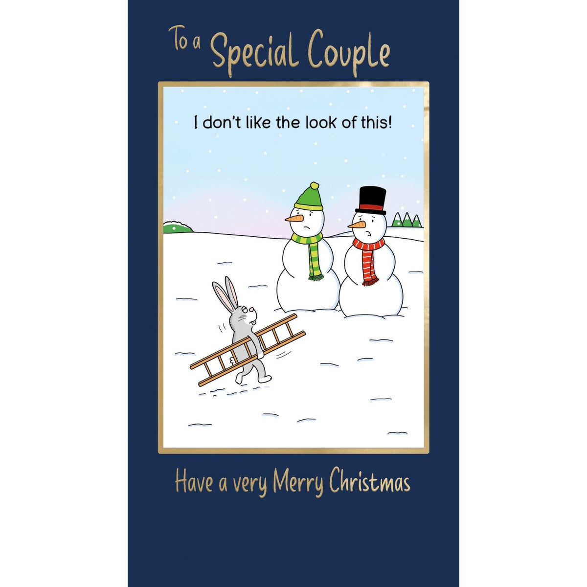 Twizler Humour Christmas Card To A Special Couple Funny Snowman Noses Xmas Card