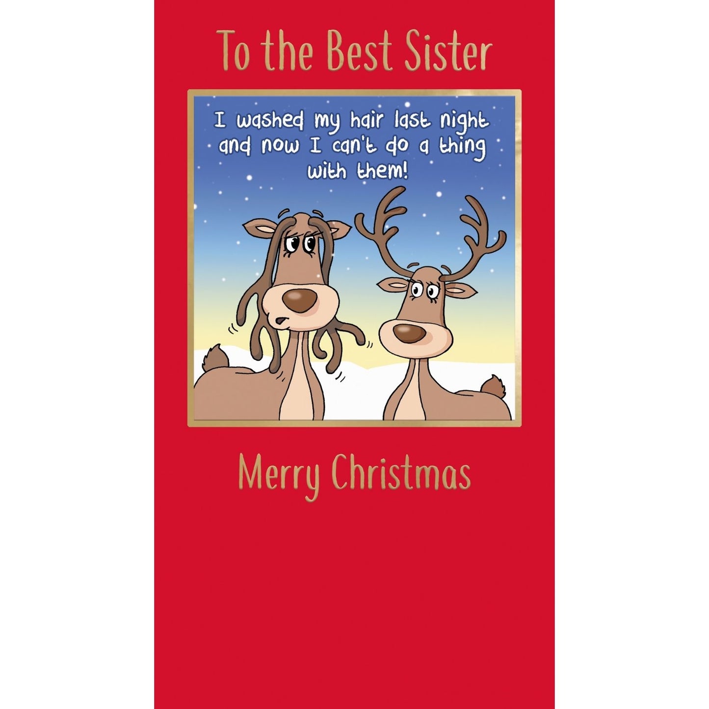 Twizler Humour Christmas Card To The Best Sister Funny Washed My Hair Xmas Card