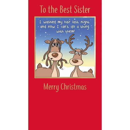 Twizler Humour Christmas Card To The Best Sister Funny Washed My Hair Xmas Card