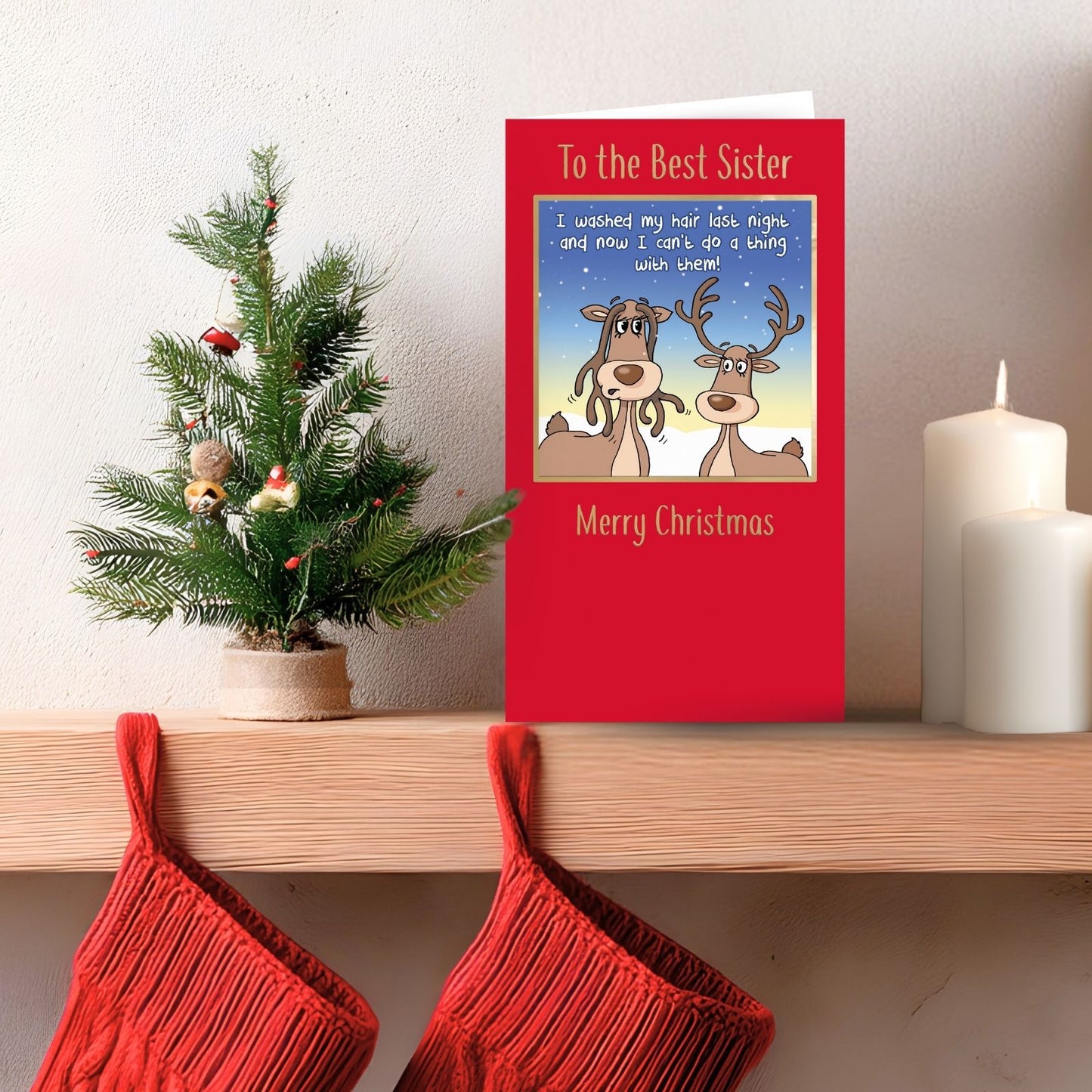 Twizler Humour Christmas Card To The Best Sister Funny Washed My Hair Xmas Card