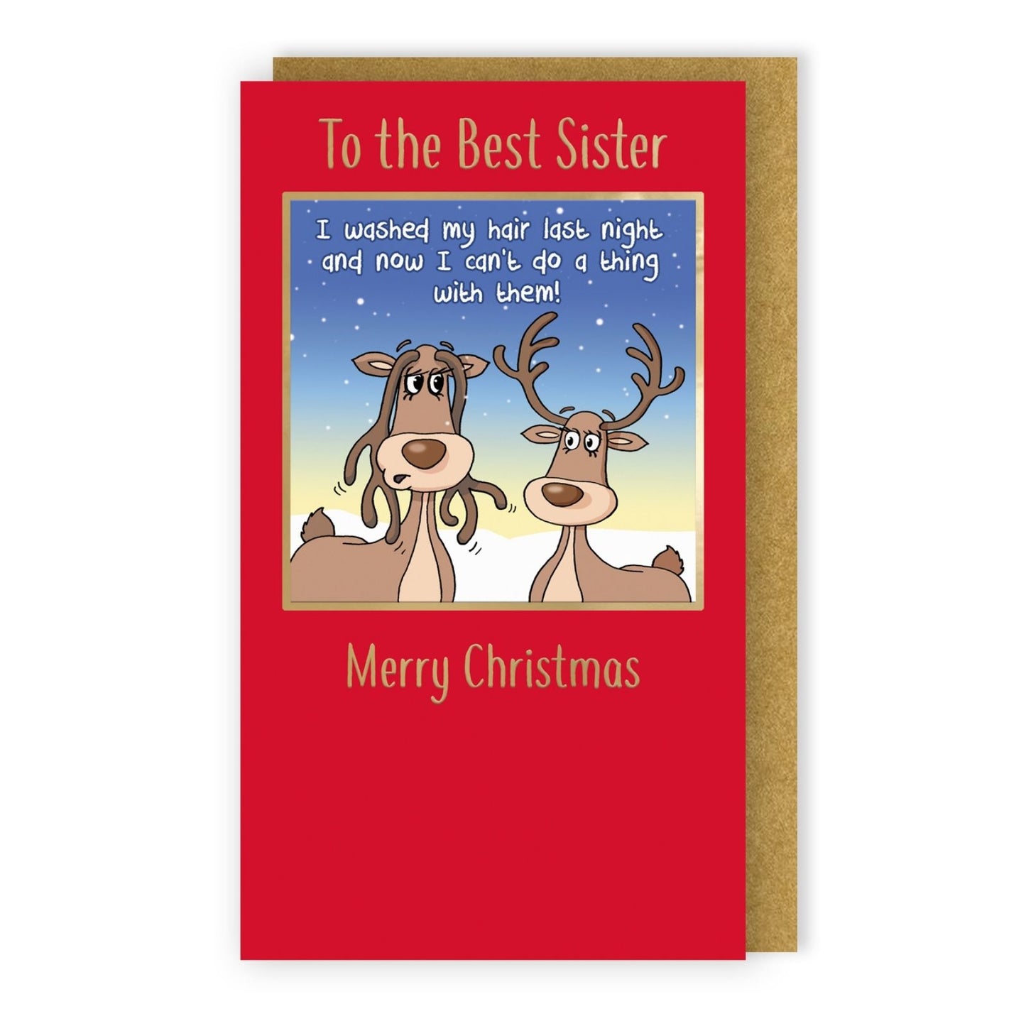 Twizler Humour Christmas Card To The Best Sister Funny Washed My Hair Xmas Card