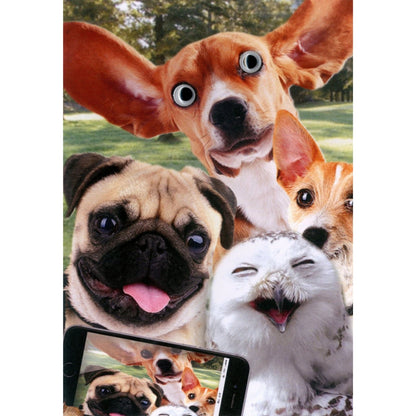Hand-Finished Funny Greeting Card Dogs & Owl Selfie Fun Blank For Any Occasion