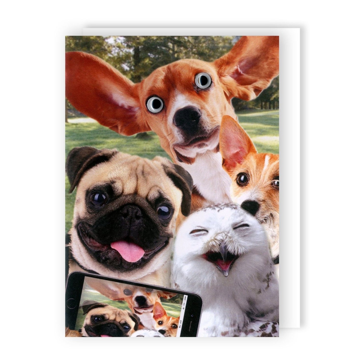Hand-Finished Funny Greeting Card Dogs & Owl Selfie Fun Blank For Any Occasion