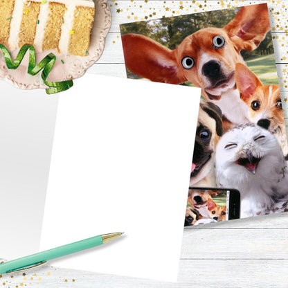 Hand-Finished Funny Greeting Card Dogs & Owl Selfie Fun Blank For Any Occasion