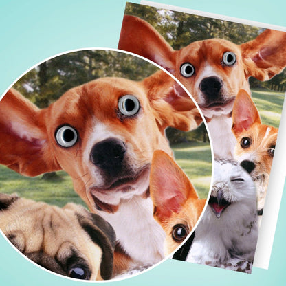 Hand-Finished Funny Greeting Card Dogs & Owl Selfie Fun Blank For Any Occasion