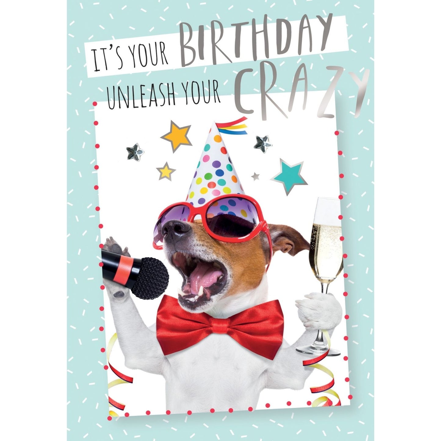 Hand-Finished Funny Birthday Greeting Card Embellished Party Karaoke Dog