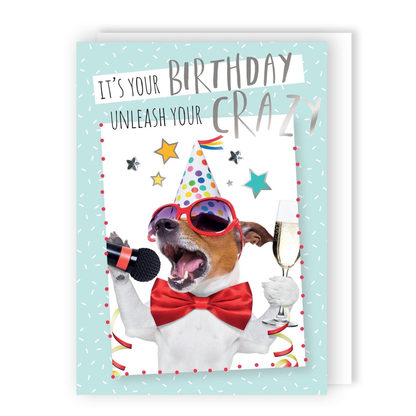 Hand-Finished Funny Birthday Greeting Card Embellished Party Karaoke Dog