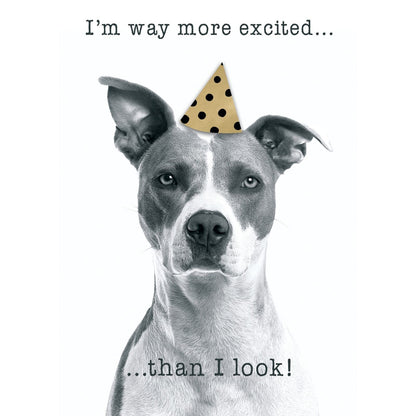 Hand-Finished Funny Birthday Greeting Card Embellished Dog In A Party Hat
