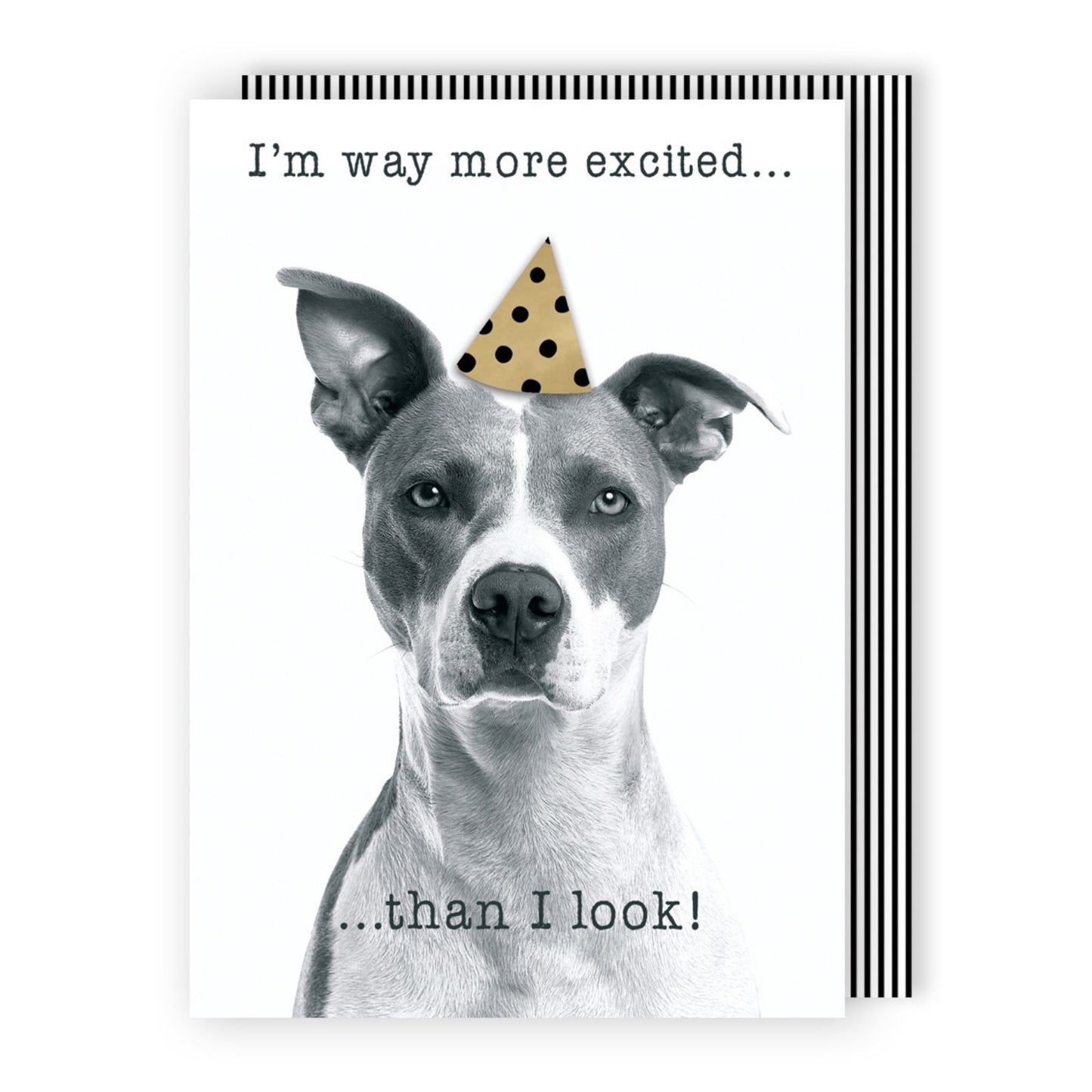 Hand-Finished Funny Birthday Greeting Card Embellished Dog In A Party Hat