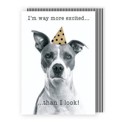 Hand-Finished Funny Birthday Greeting Card Embellished Dog In A Party Hat